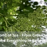 The world of tea from green to black and everything in between